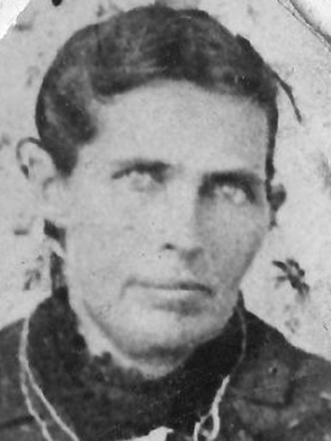Eveline Medora Curtis (1850 - 1900) Profile